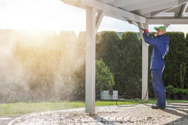 Professional  Pressure Washing Services in Mccrory, AR